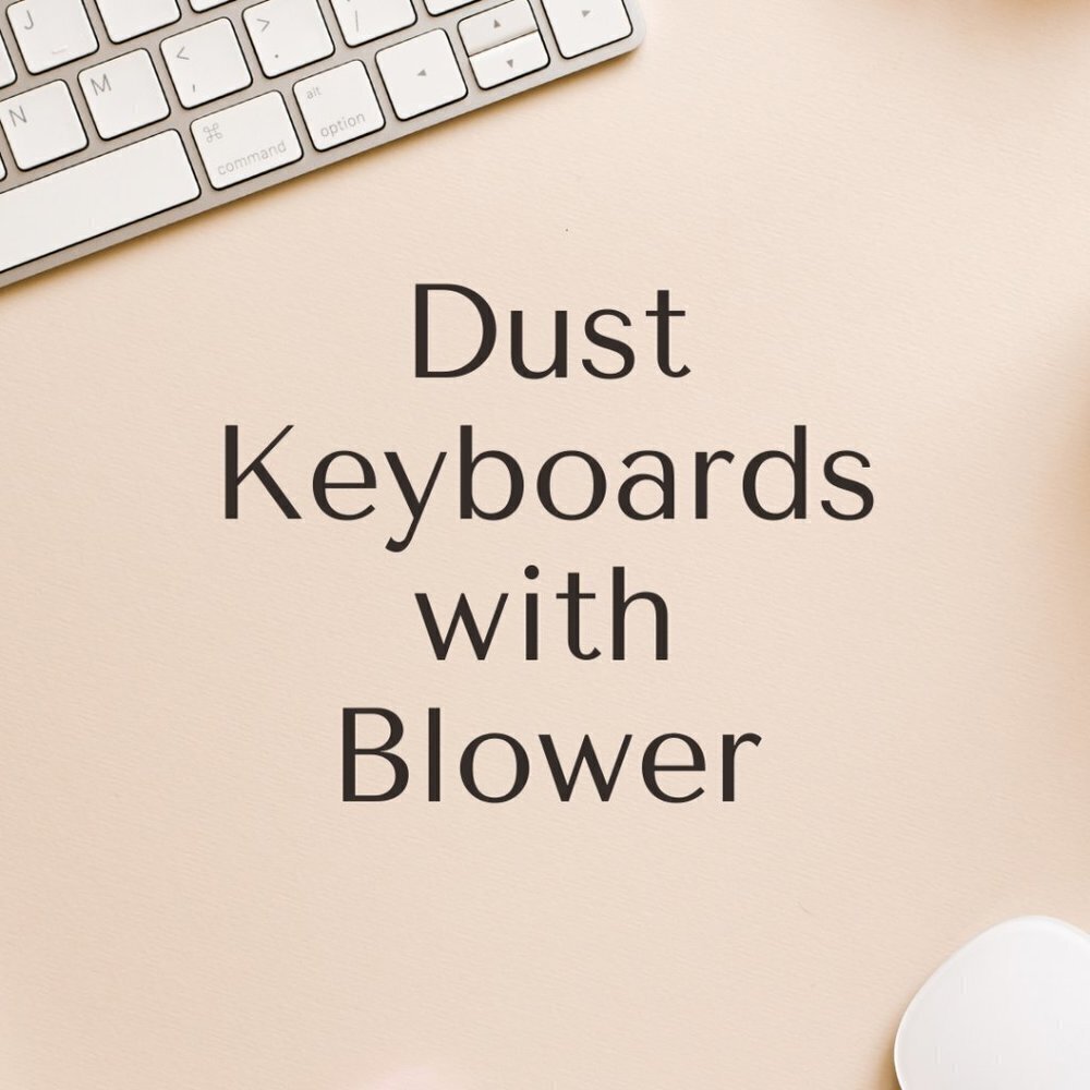 Air  Bulb for Dusting Electronics Lashes Antiques Plants